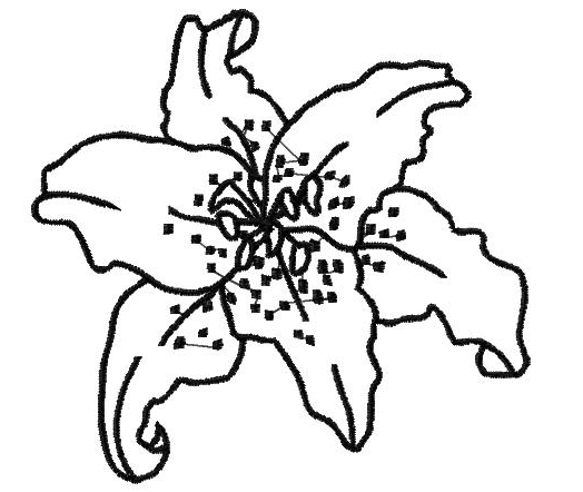 Hibiscus Flower Outline - ClipArt Best