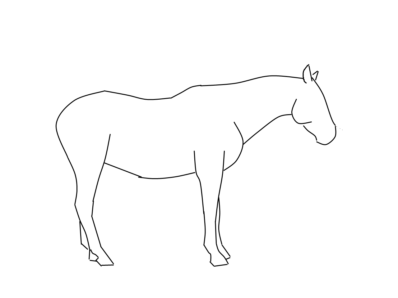 How To Draw A Mustang Horse - Cliparts.co