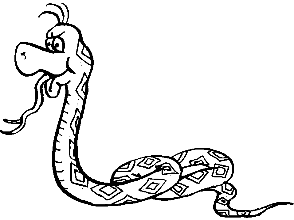 viper snake coloring pages : Printable Coloring Sheet ~ Anbu ...