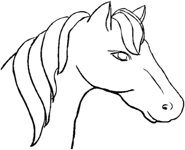 cartoon horse head  clipartsco