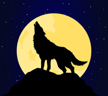 Sitting Howling Wolf Outline Images & Pictures - Becuo