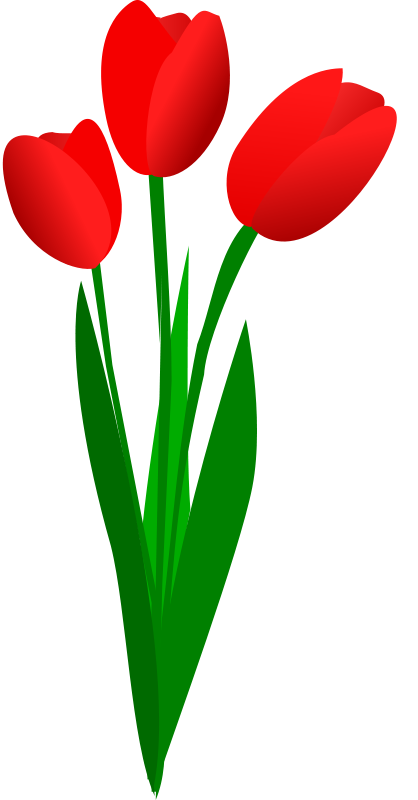 Free Three Red Tulips Clip Art