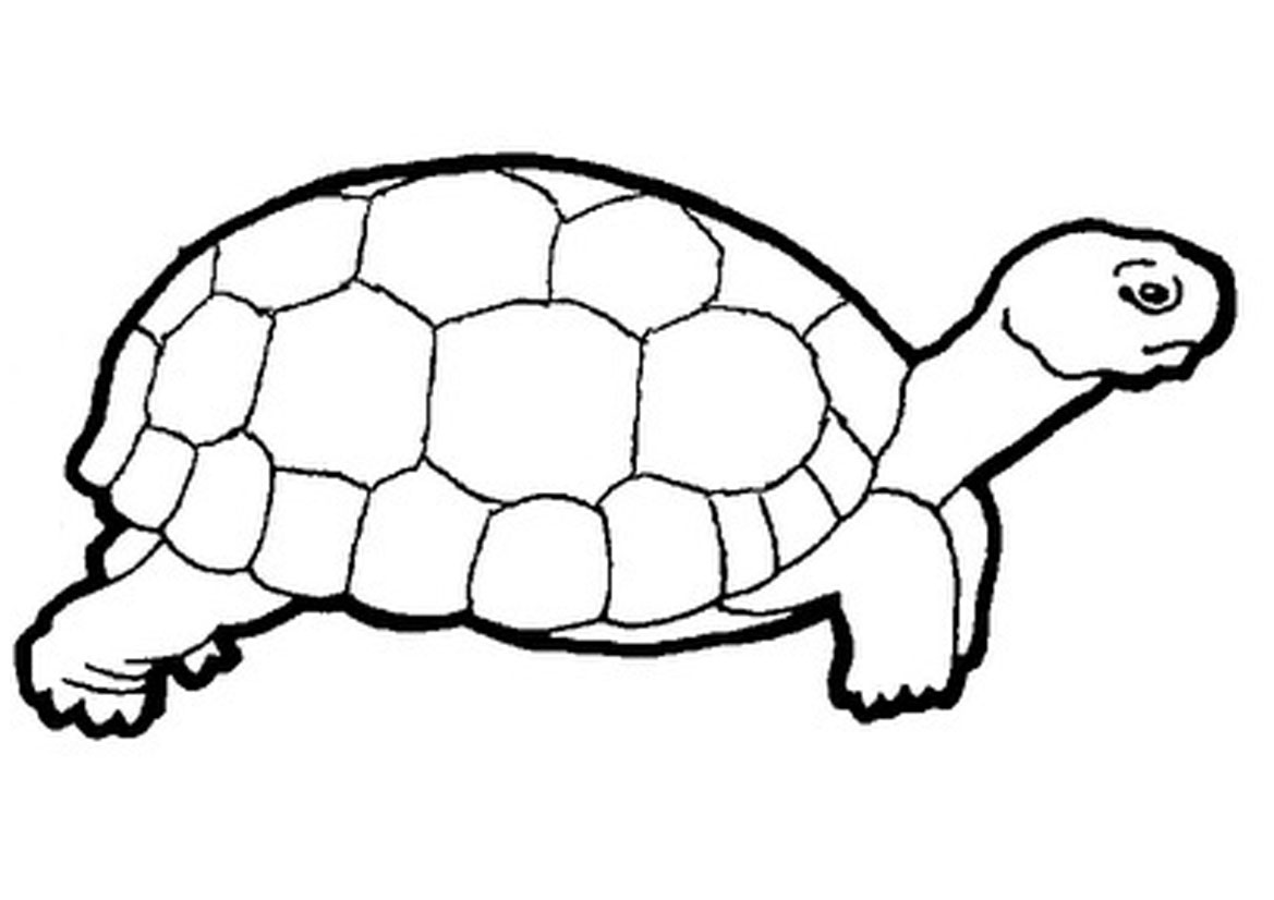 turtle clipart black and white - photo #4