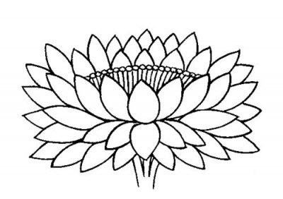 Pix For > Buddhist Lotus Flower Drawing