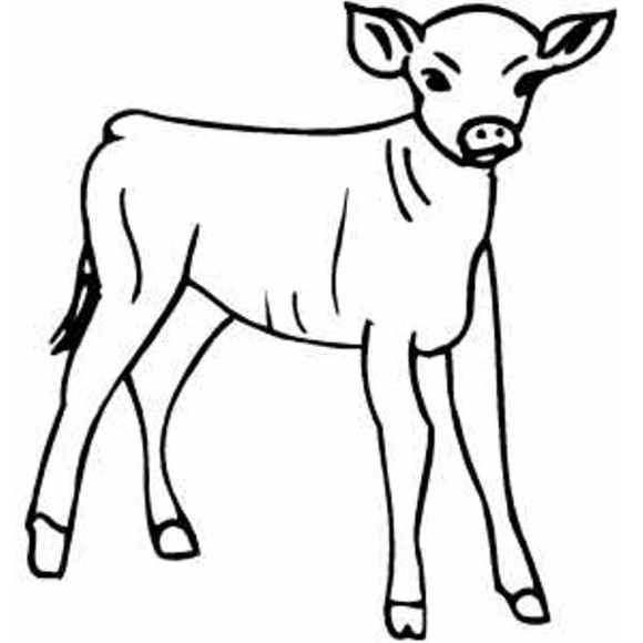 Cute Calf Farm Animal Coloring Pages - Animal Coloring pages of ...