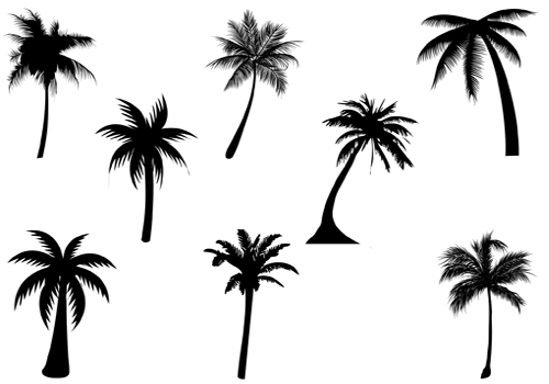 free vector clip art palm tree - photo #50