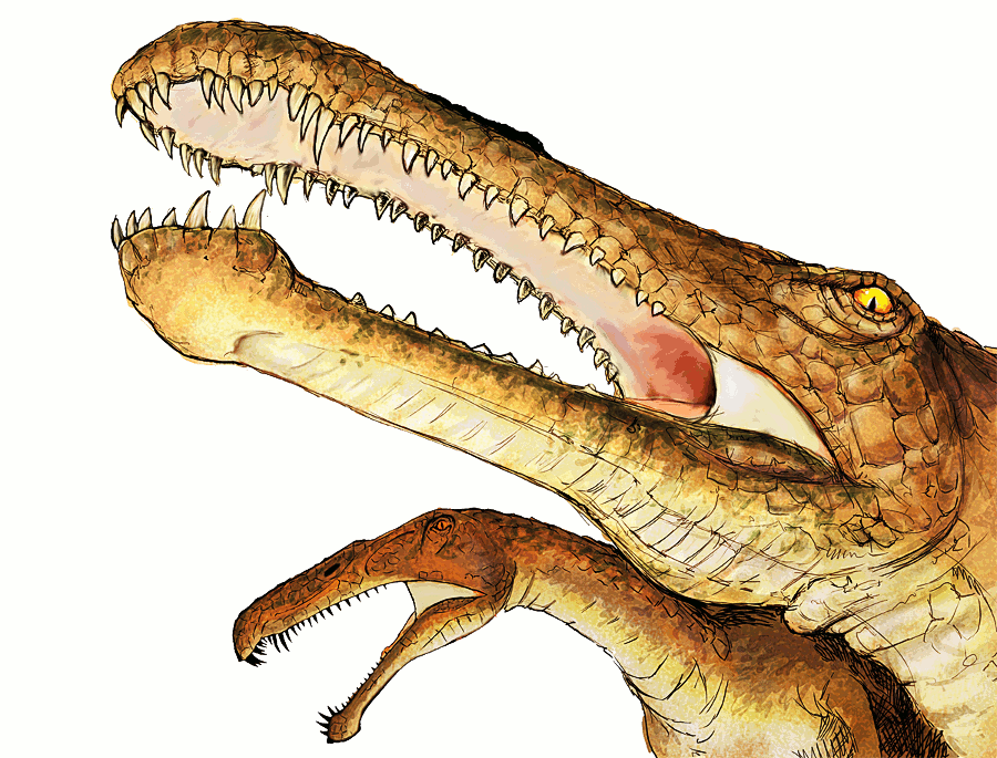 Irritator Dinosaur Clip Art Download