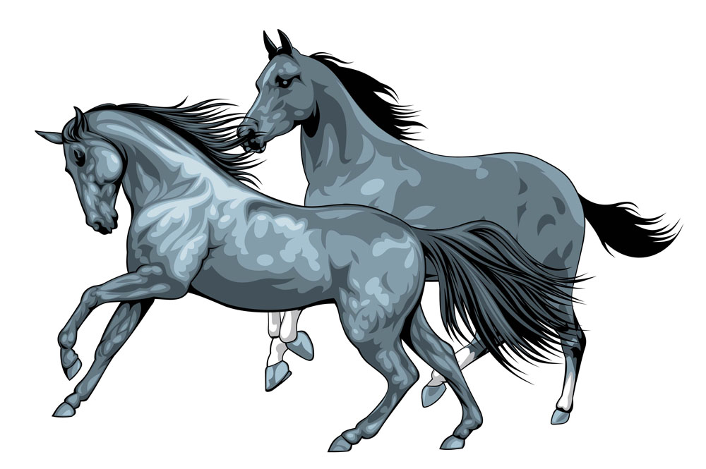 Free Vector Horse - Cliparts.co