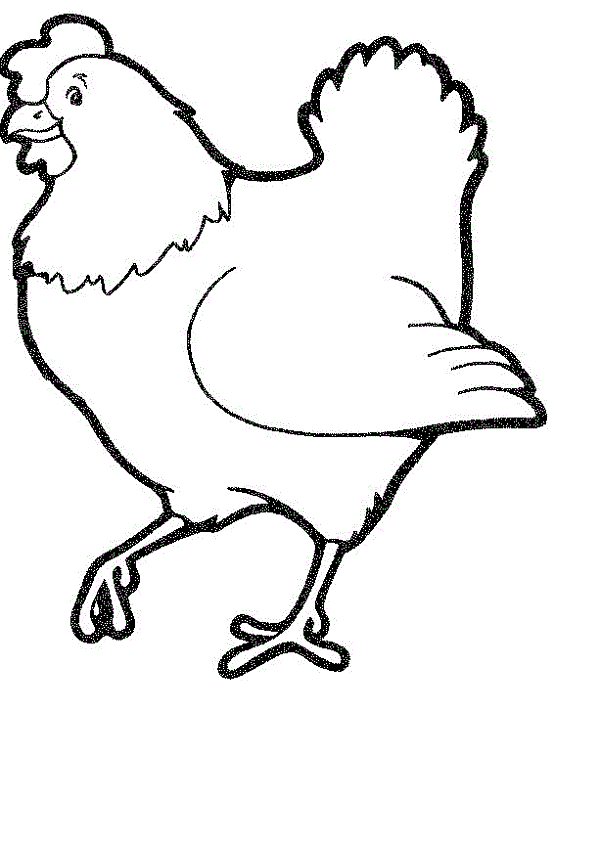 chicken coloring page free printable | Coloring Kids