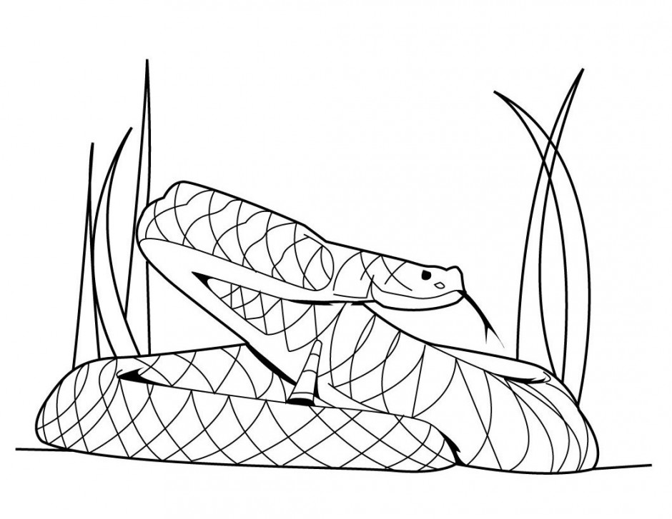 Snake Coloring Pages Rattlesnake Coloring Pages Printable 167759 ...