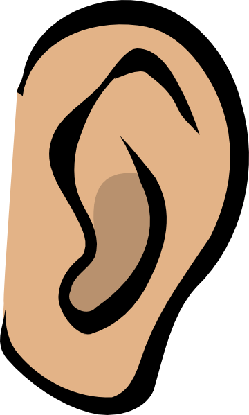 Ear - Body Part clip art - vector clip art online, royalty free ...