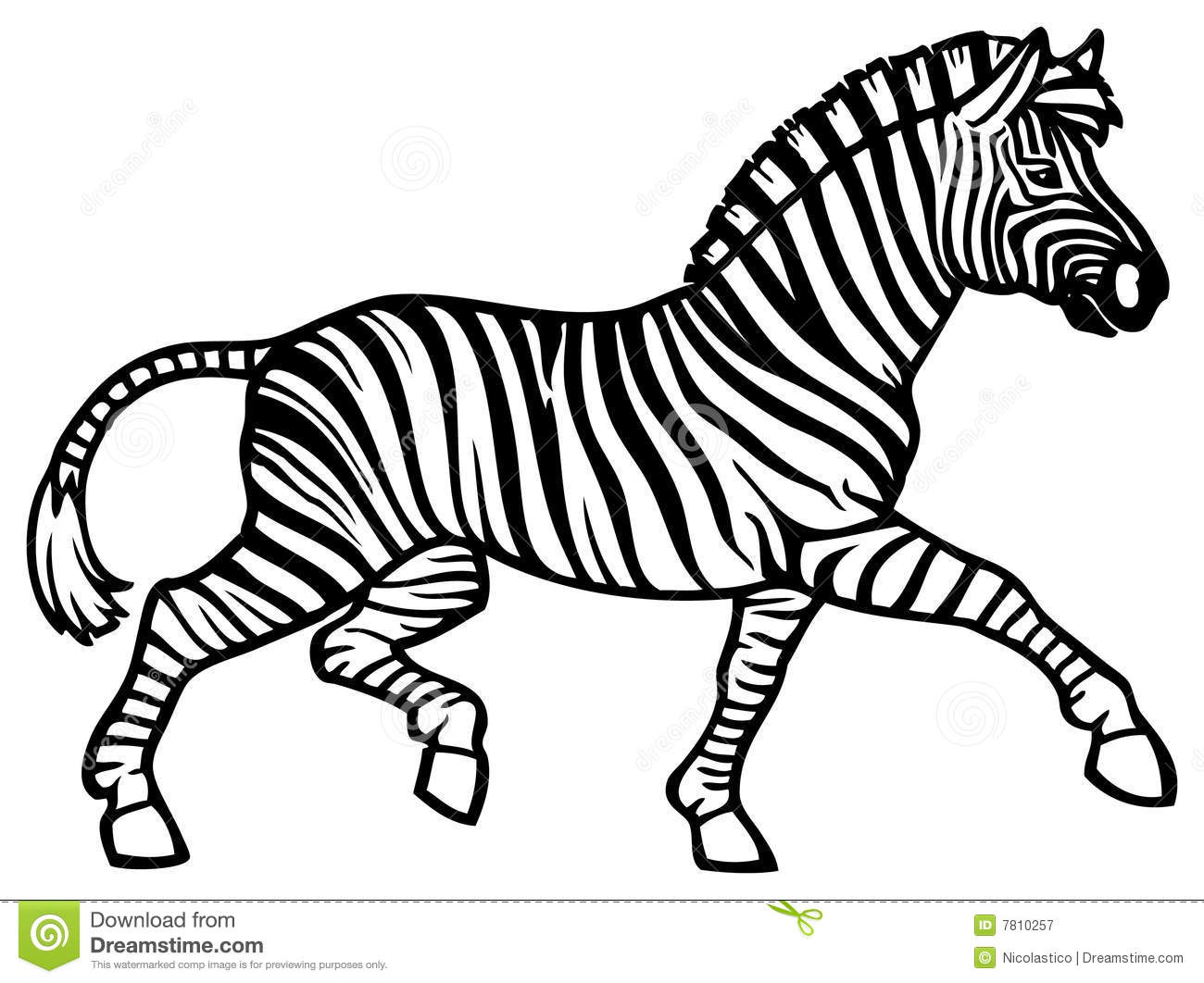 Image gallery for : zebra black and white drawing