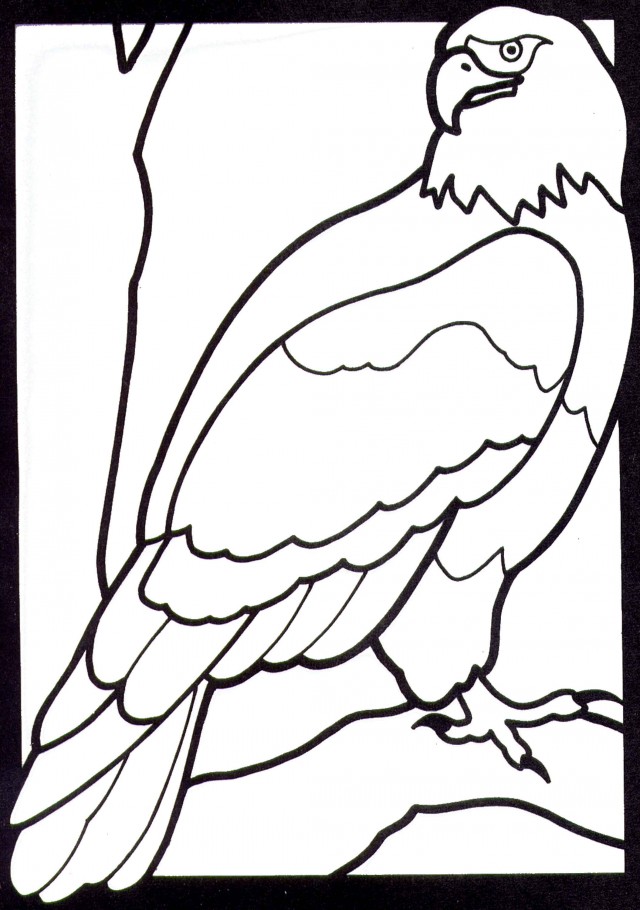 Bald Eagle Coloring 2014 Eagle Coloring Sheet Kids Coloring 126515 ...