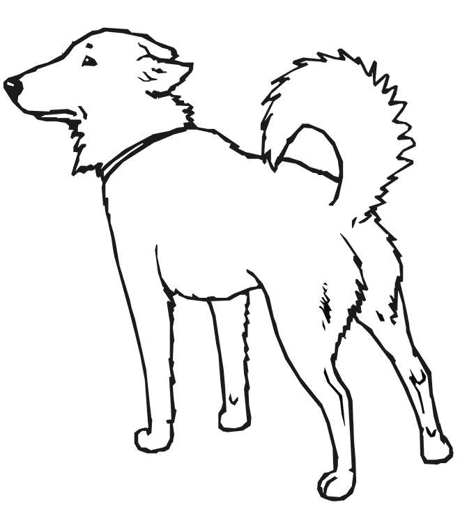 Dog Kindergarten Worksheet Guide Line Drawing