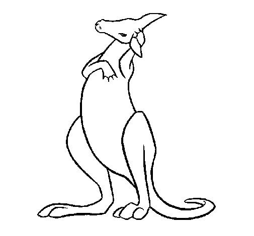 KANGAROO paint Colouring Pages