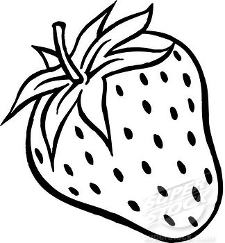 A black and white drawing of a plump strawberry | Stock Photo ...