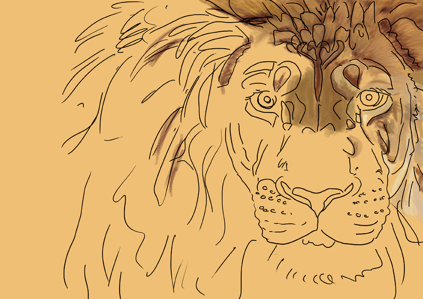 African Lion wip's animation by Sarahharas07 on DeviantArt