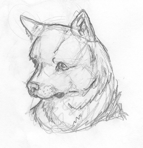 Random Dog Drawing by cloudyyuki on DeviantArt