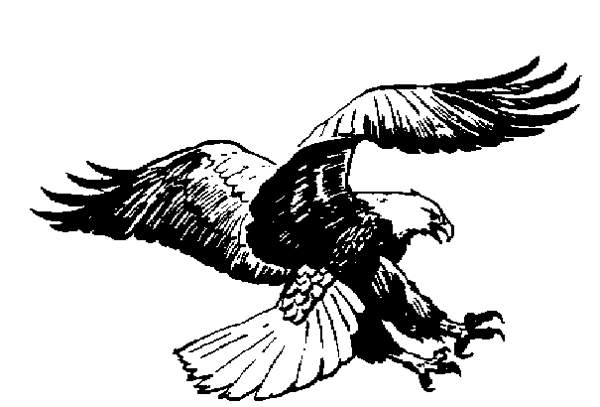 Black white eagle clip art | Home Improvement Gallery
