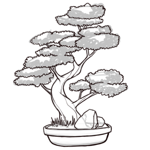 How to Draw a Bonsai Tree: 8 Steps (with Pictures) - wikiHow