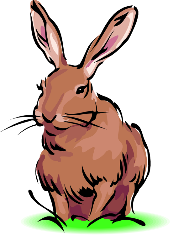 Peter Rabbit Clip Art - Cliparts.co