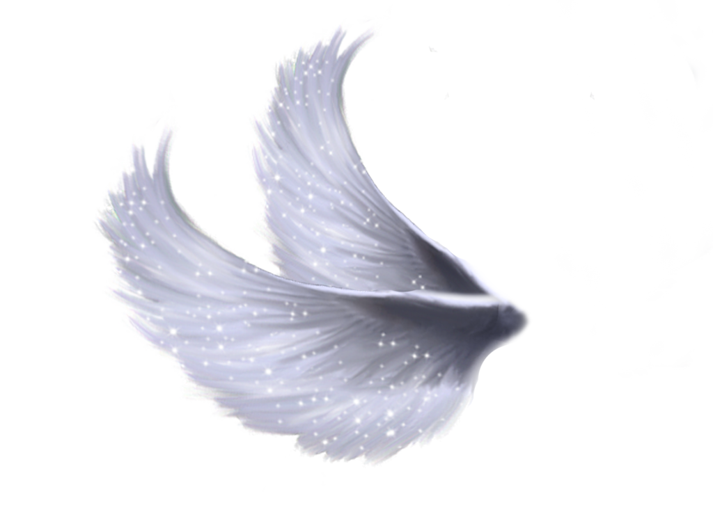 Wings Png 5 by Moonglowlilly on DeviantArt