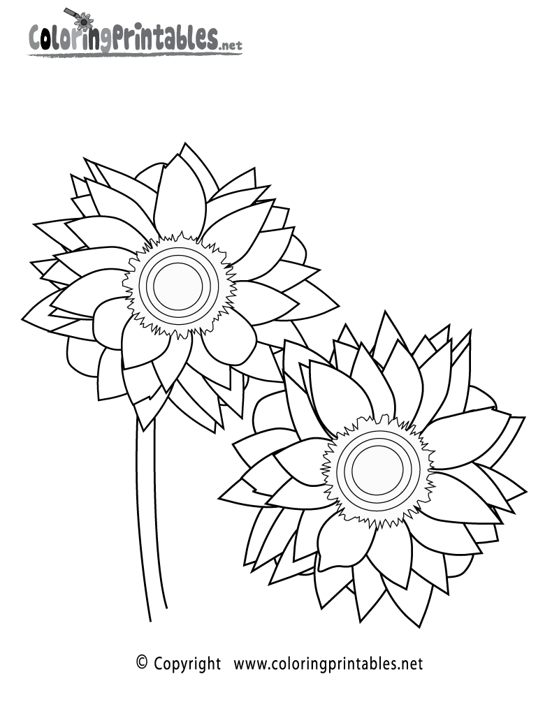 Sunflower Coloring Page - A Free Nature Coloring Printable