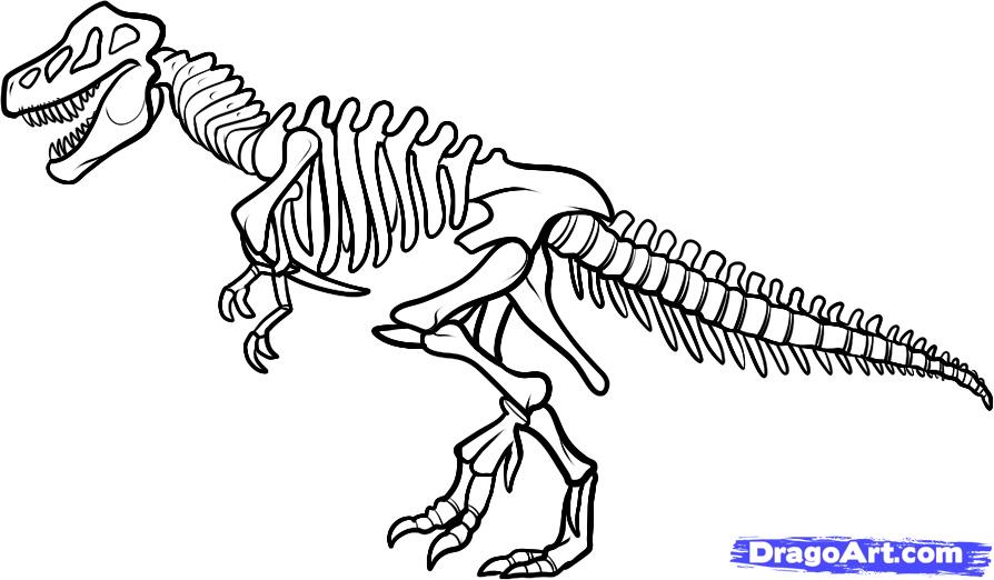 How to Draw a Dinosaur Skeleton, Dinosaur Skeleton, Step by Step ...
