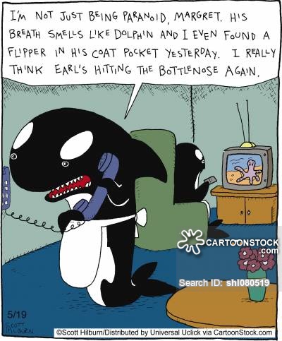 Killer Whales Cartoons and Comics - funny pictures from CartoonStock