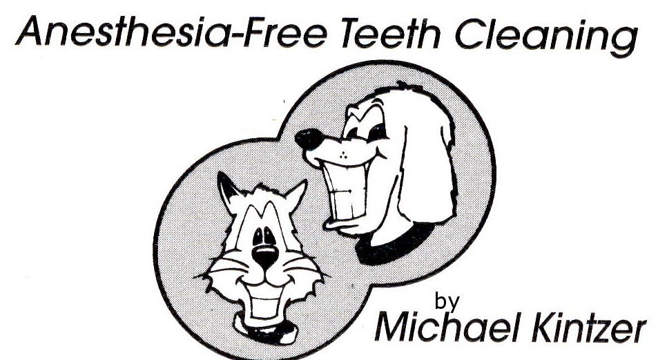 Canine Care Anesthesia-Free Teeth Cleaning on www.thedapperdog.com