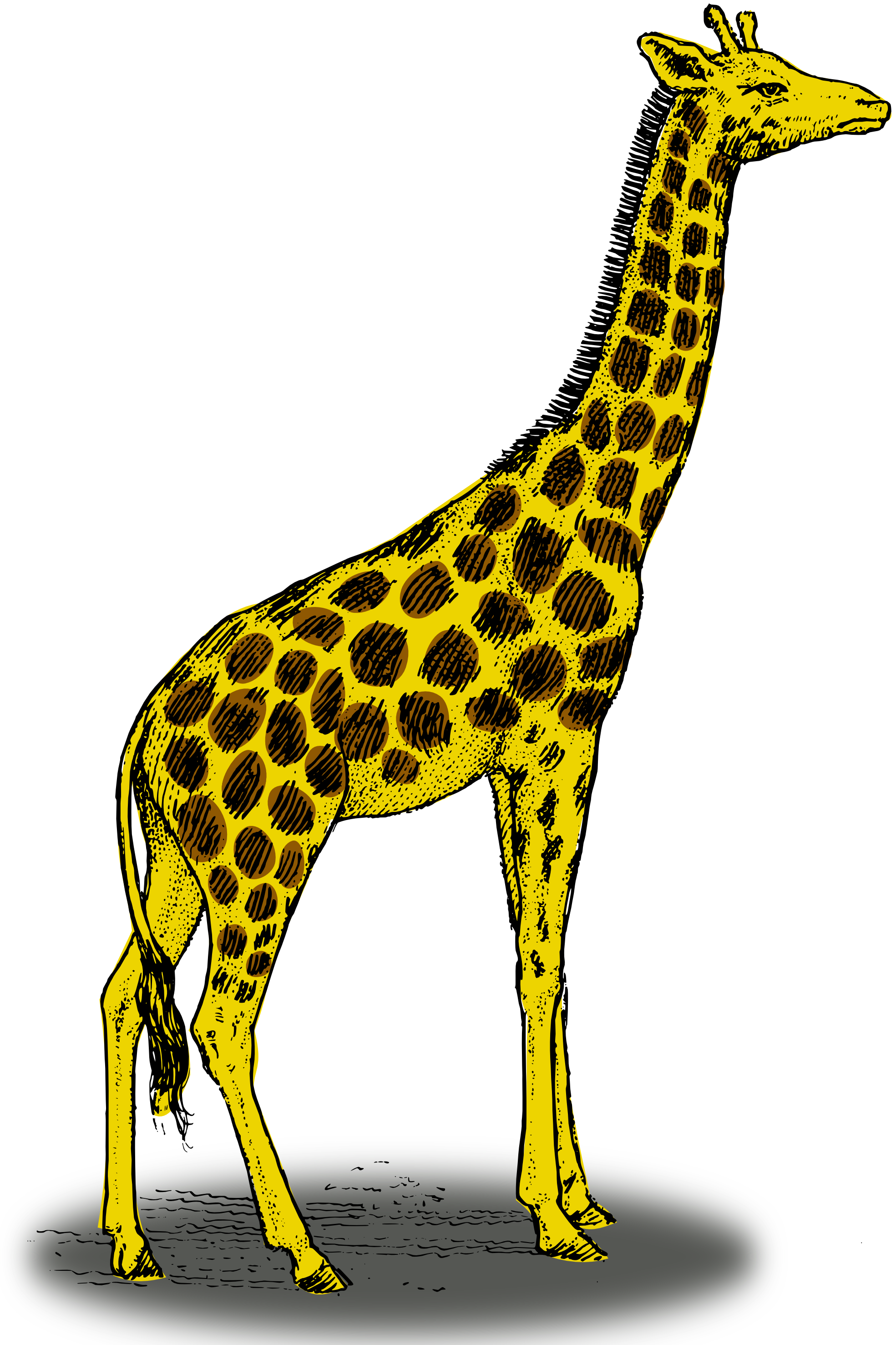 Giraffe Line Art - ClipArt Best