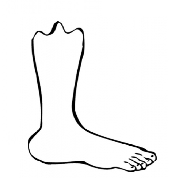 Coloring Pages of Human Foot | Coloring