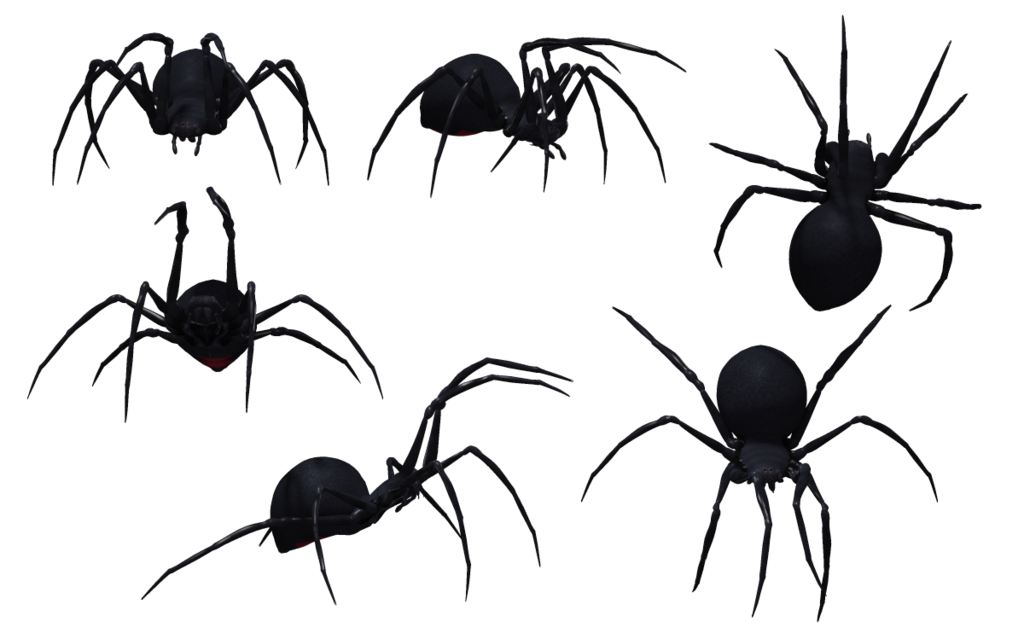 Black Widow Spider A 02 by wolverine041269 on deviantART