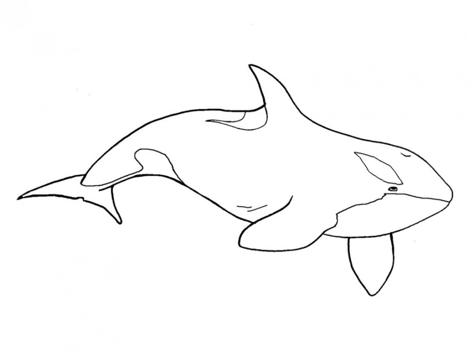 Clip Art Whale Killer Whale Coloring Page Abcteach Killer Whale ...