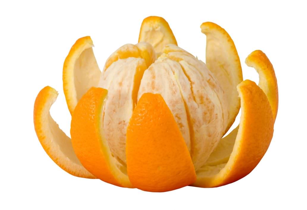 Can dogs eat oranges? - BunkBlog