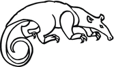 Anteater coloring pages | Super Coloring
