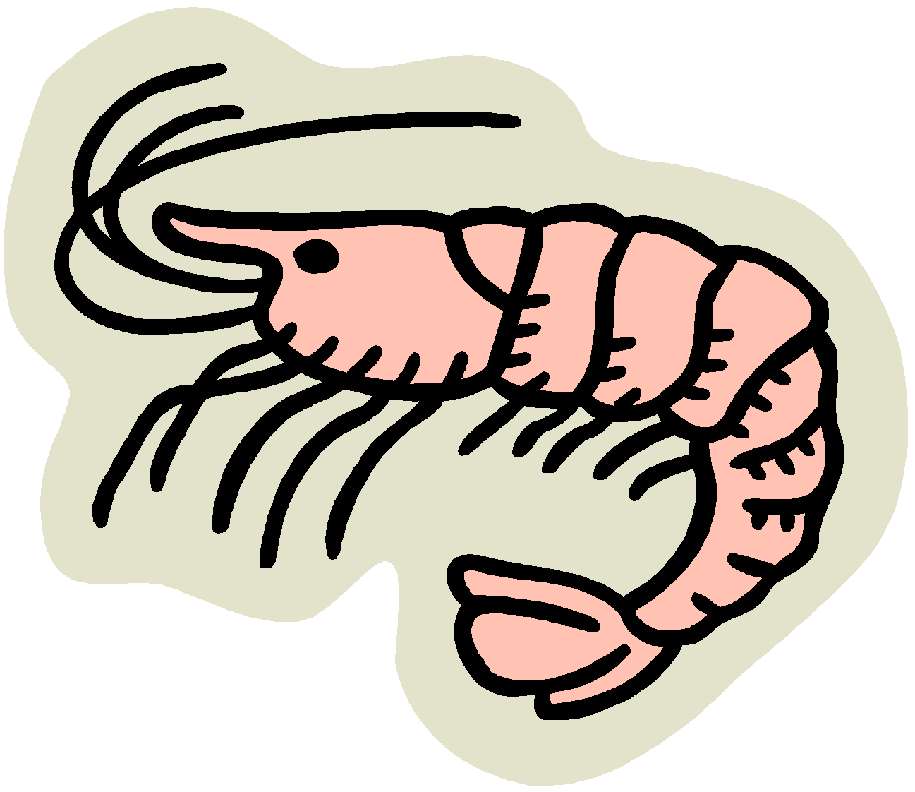 Cooked Shrimp Clipart | Clipart Panda - Free Clipart Images