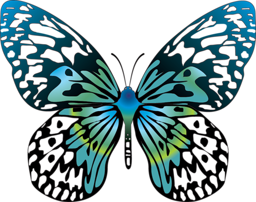 clip art butterfly pictures - photo #32