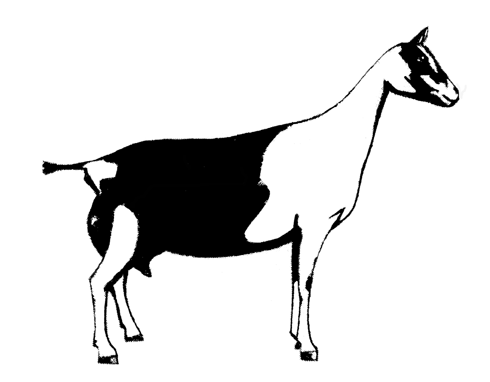 Goat Clip Art - GoatWorld Articles - GOATWORLD.