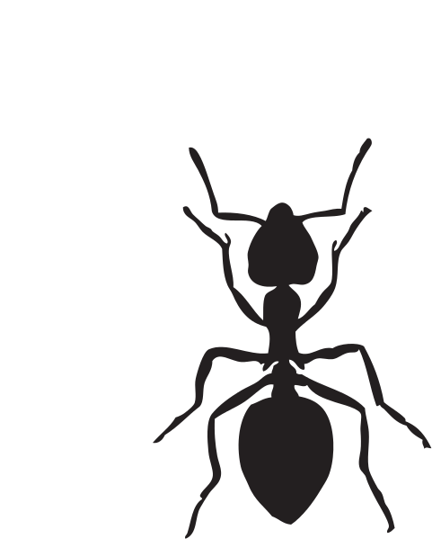 File:Ant clipart.svg - Wikimedia Commons