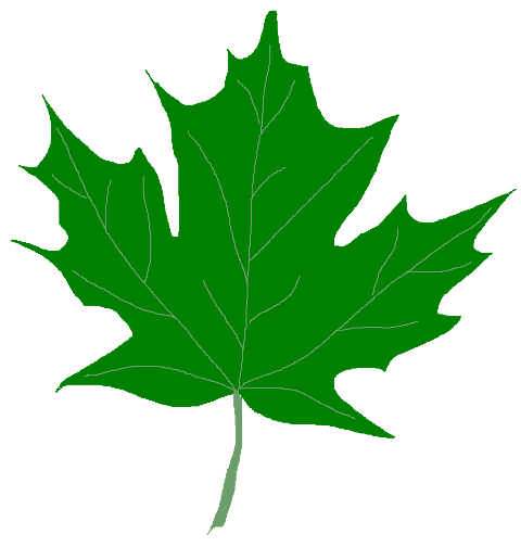 maple leaf clip art images - photo #38