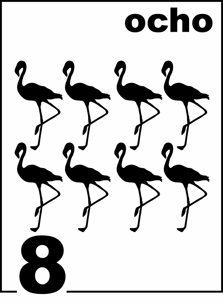 Spanish Flamingo Counting Card 8 | ClipArt ETC
