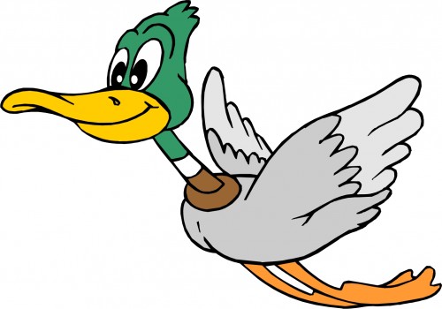Pix For > Cartoon Duck Flying