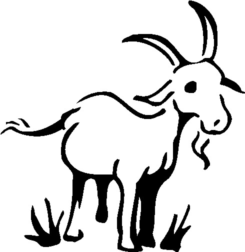 Articles, Links, & Videos | American Fainting Goat Organization