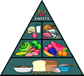 Ag's Cool - Nutrition - Food Pyramid