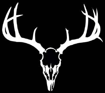 Deer Skull Graphicspictures Images Myspace Layouts | Autos Nyos Racing