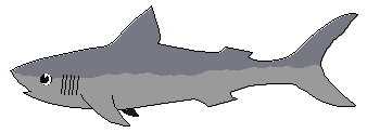 Free Sharks Clipart. Free Clipart Images, Graphics, Animated Gifs ...