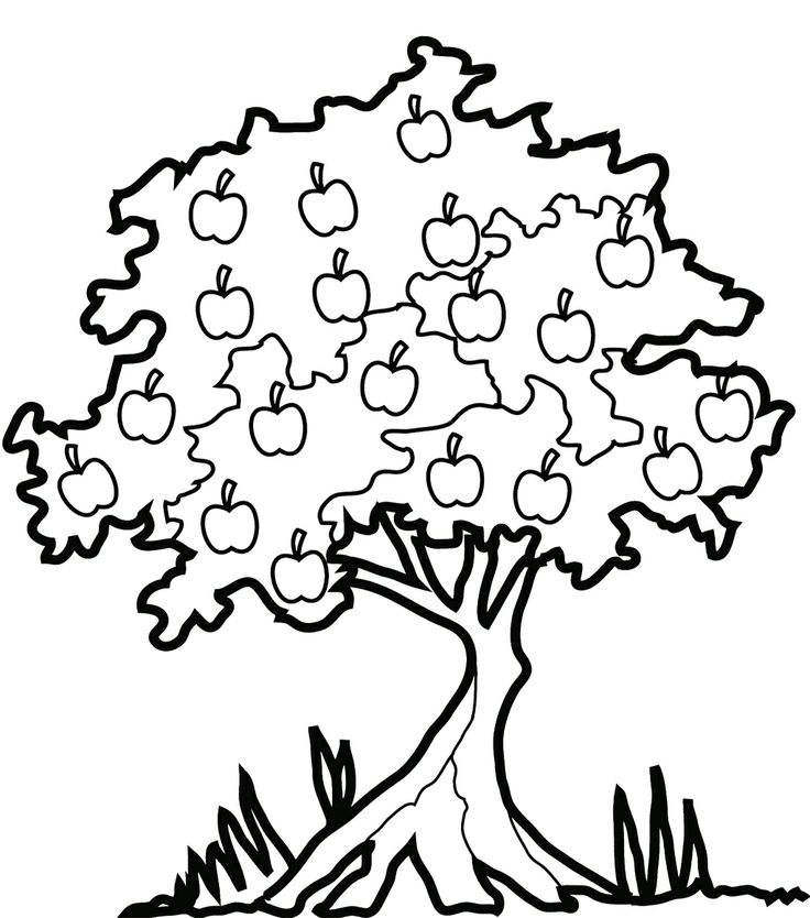 apple tree clipart black and white - photo #14