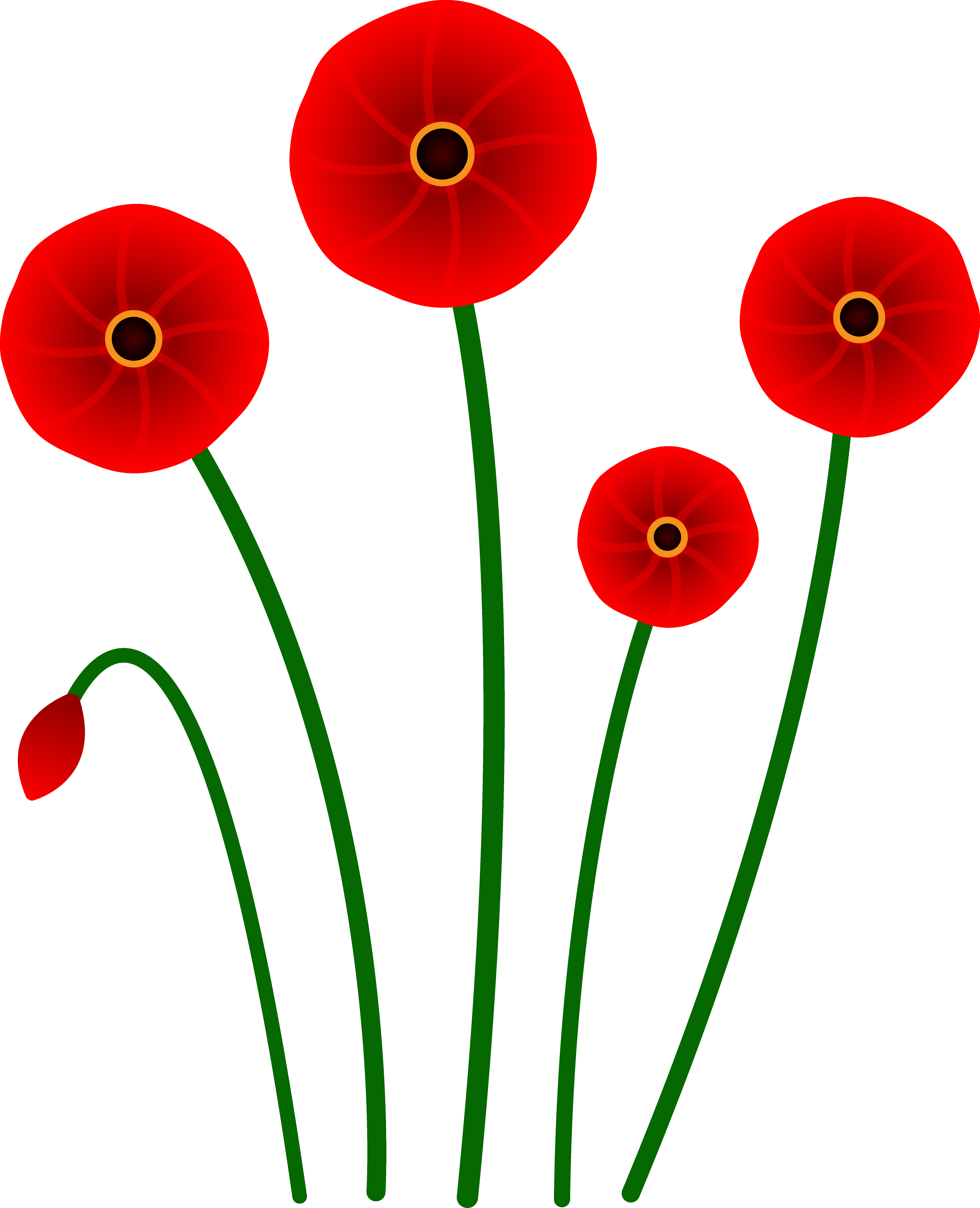 Red Poppy Flowers - Free Clip Art