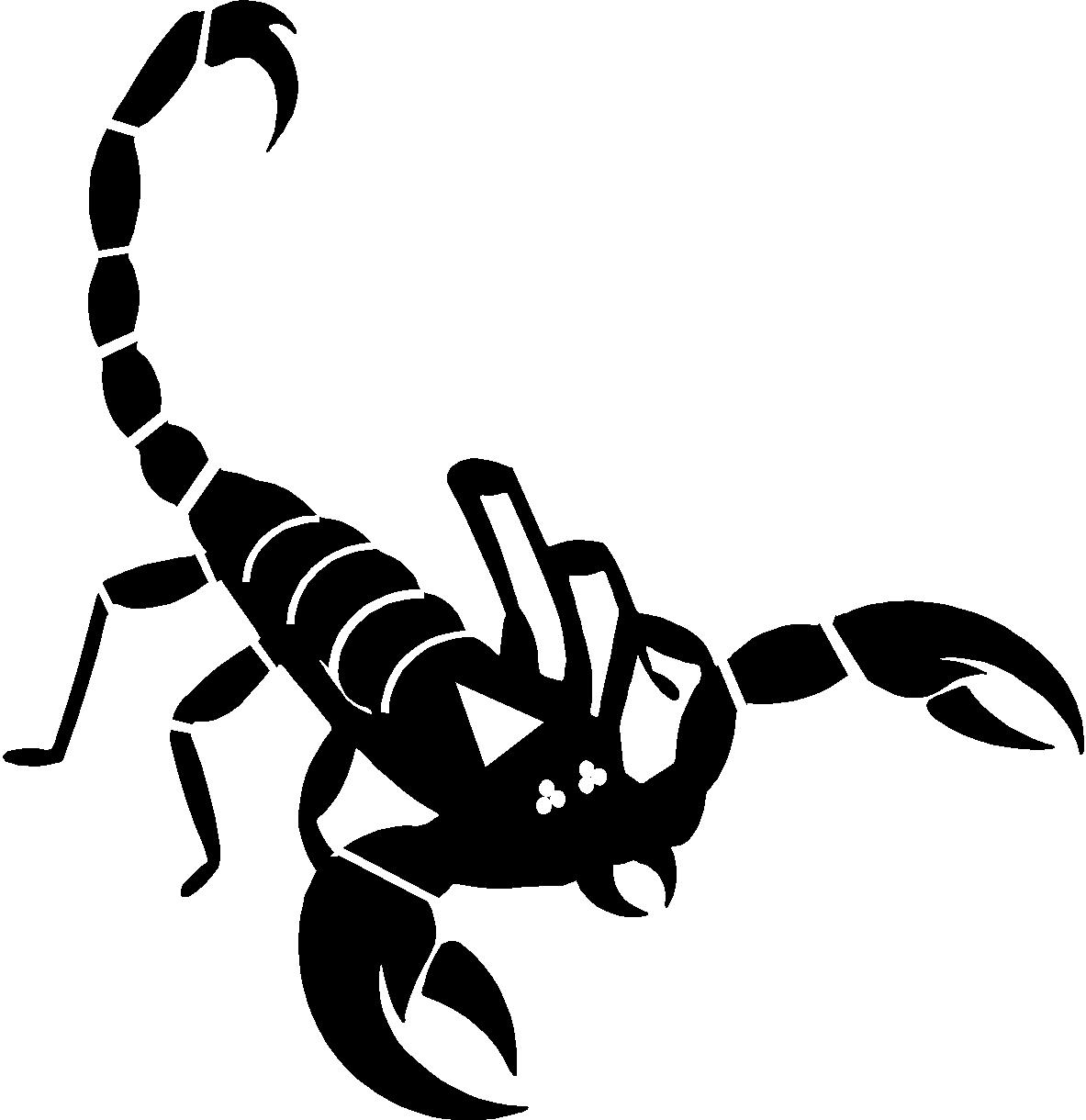 Scorpion image - vector clip art online, royalty free & public domain